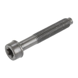 Cylinder head bolt 55254881