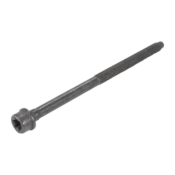 Tornillo de la culata 55282249