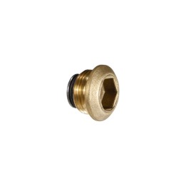 Antifreeze plugs 01739800