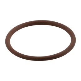 O-ring para ventilação do motor 17289681