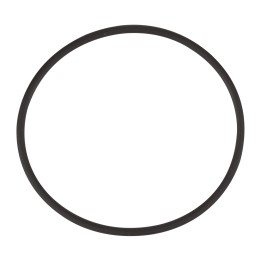 Oil pump seal 55273898