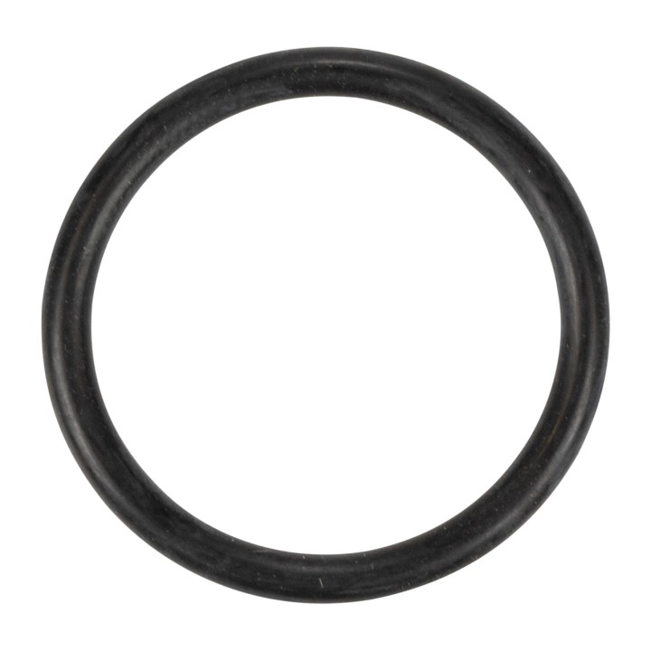 O-Ring Iveco OE (17282280)