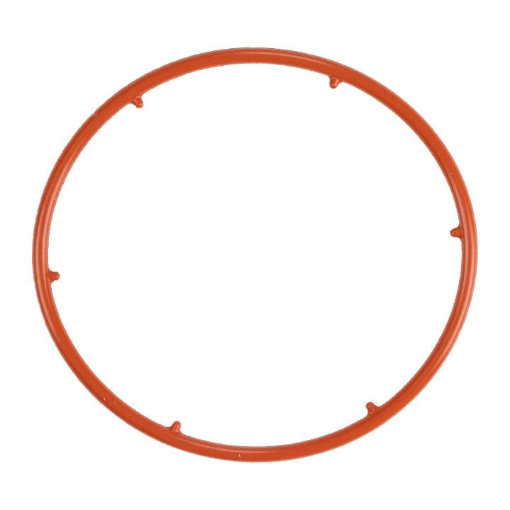 Intercooler seal 6000623054