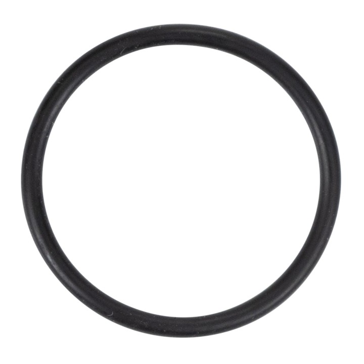 Sealing ring (O-ring) 14453780