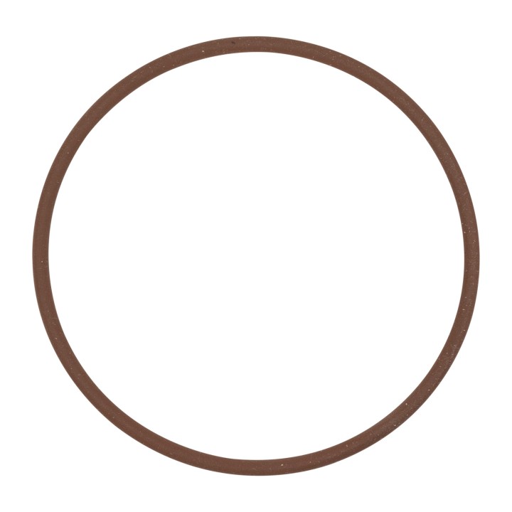 O-Ring 17284781