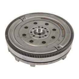 Flywheel 9820956980
