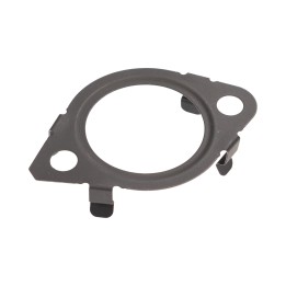 Dichtung, Kettenspanner 9844736680