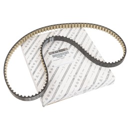 Cinghie dentate 155254883
