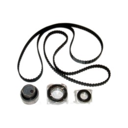 Set cinghia dentata con 3 rulli e 2 cinghie