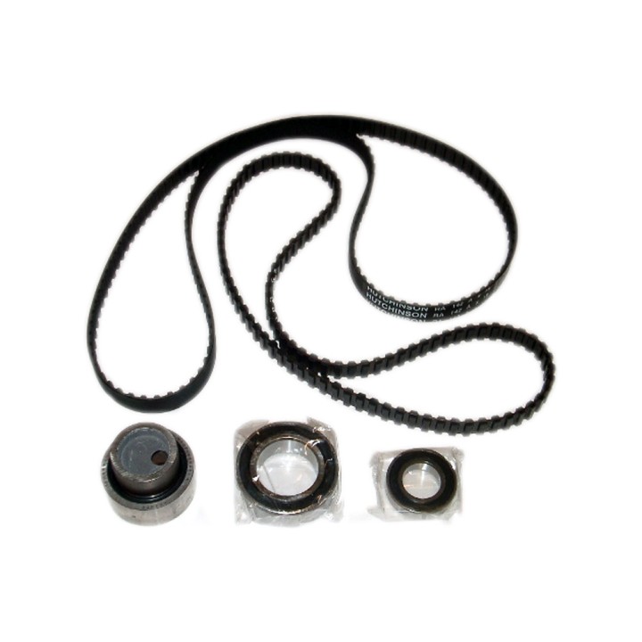 Set cinghia dentata con 3 rulli e 2 cinghie