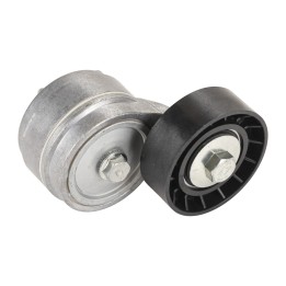Tendicinghia Dayco APV3241