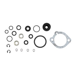 Dichtsatz Riemenspanner DS77065