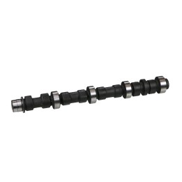 Intake camshaft (A) 20560