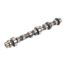 Camshaft 55272826