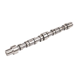 Intake camshaft 504180898