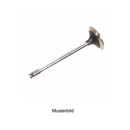 Válvula de admissão 820800