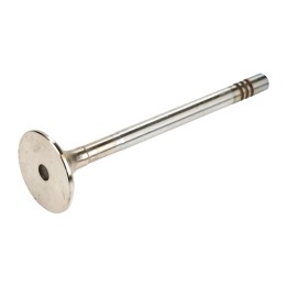 Válvula de escape 826204