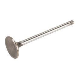 Válvula de escape K53022088AD