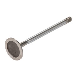 Intake valve 1.4 16V +T-JET 828012