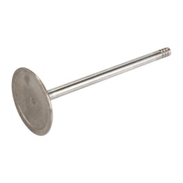 Intake valve K53022087AC