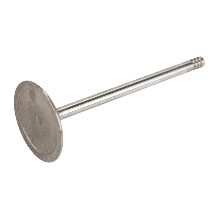 Einlassventil K53022087AC