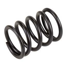 External valve spring 760270