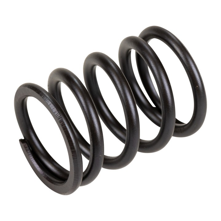 External valve spring 760270
