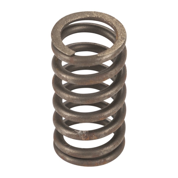 Valve spring 55204136