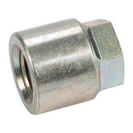 High-pressure fuel pump nut 7303345