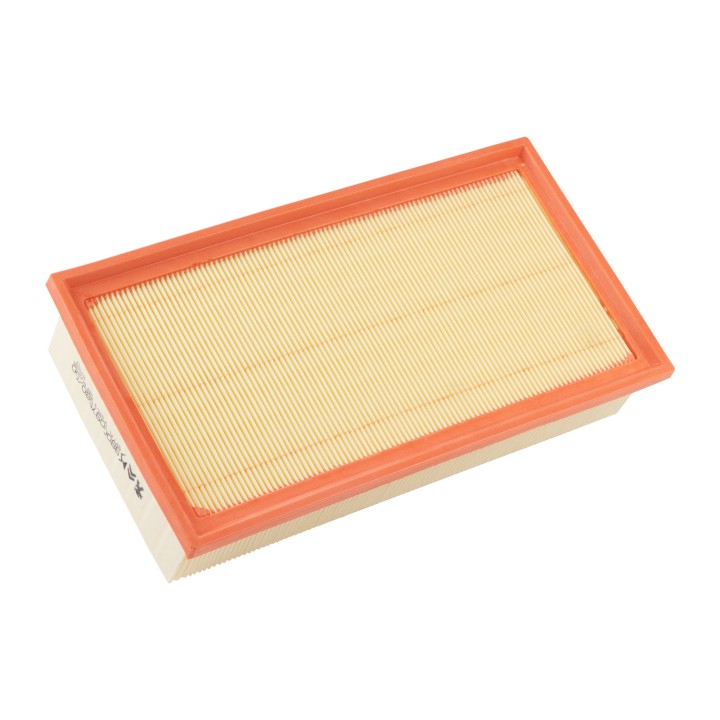 PSA OE air filter element (9800097580)