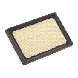 PSA OE air filter element (1616368880)
