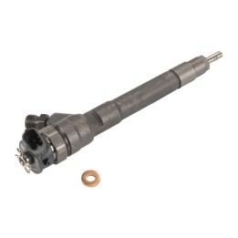 Inyector 6000616681