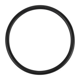 Dichtring Einspritzpumpe 55186955