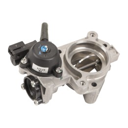 Throttle valve 89217