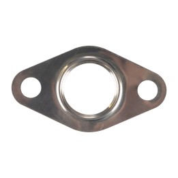 Dichtung EGR-Ventil 4850359