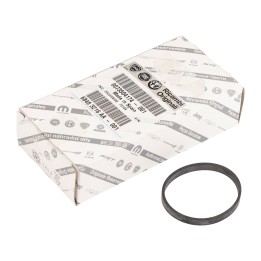 Dichtung AGR-Ventil 73504174
