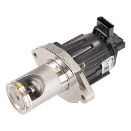 Drosselklappe mit AGR-Ventil 673461