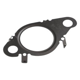 EGR valve gasket 6000640296