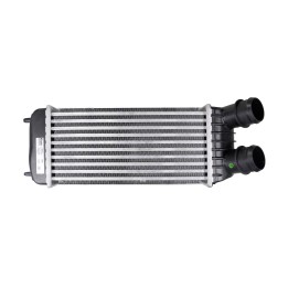 Intercooler 300-159-80 mm Nissens 96613