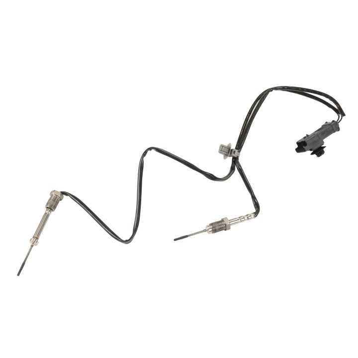 Sensor, Abgastemperatur 9812376480