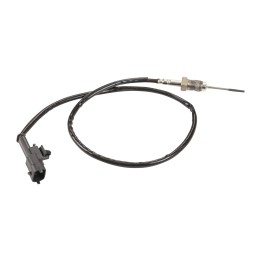 Sensor, Abgastemperatur 5801653071