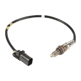 Lambda-Sonde vorgeschaltet 55282500