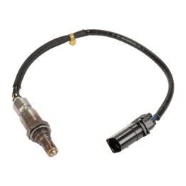 Sonde lambda en amont 55284779