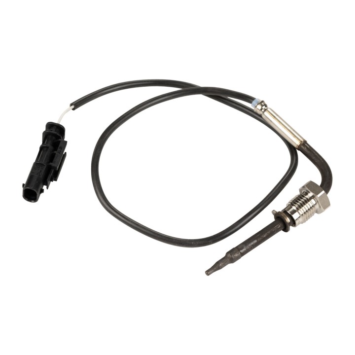 Temperature sensor, exhaust 12617