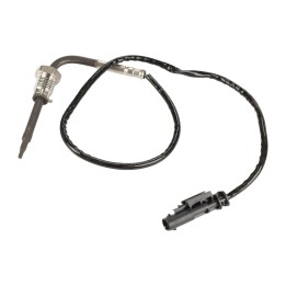 Temperatursensor, Abgas 46341094