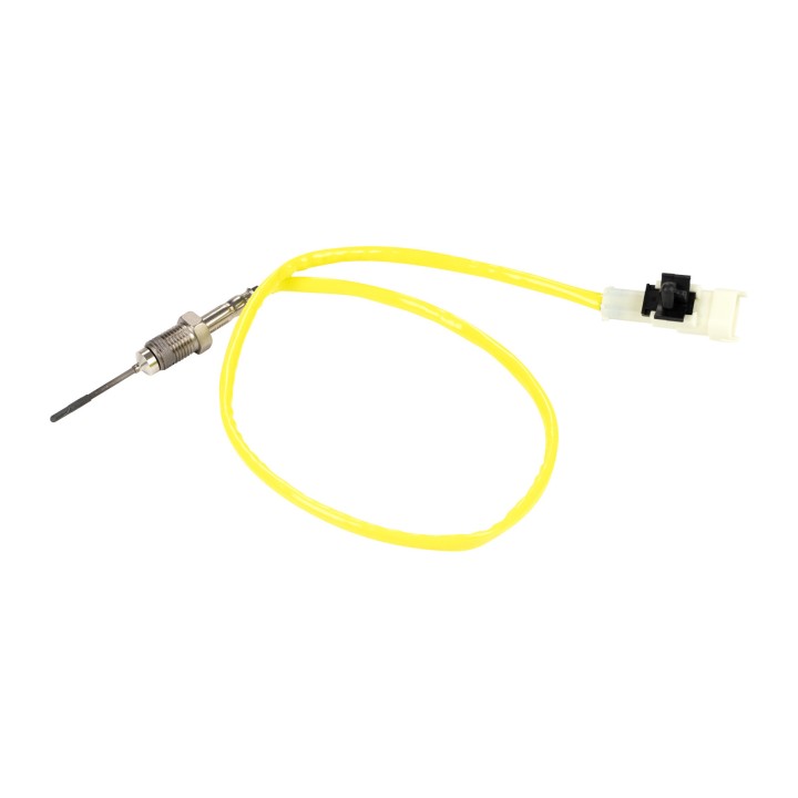 NOx sensor 710016M