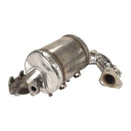 Catalizzatore 6000616850