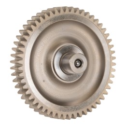 Kraftstoffpumpenritzel 9807696780
