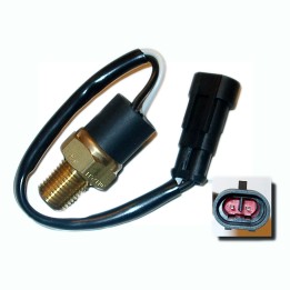 Water temperature warning light switch 82624