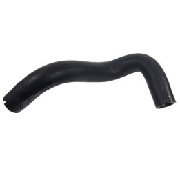 Upper right radiator hose 20422